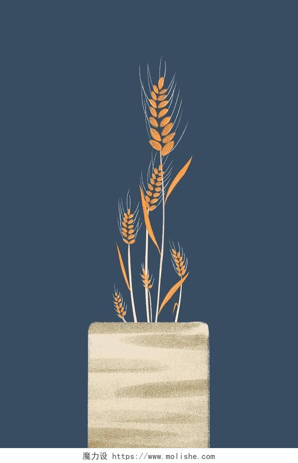 小麦素材小满节气夏天收获丰收季节金色麦子
